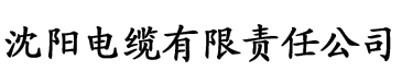 丁香狠狠综合永久电缆厂logo